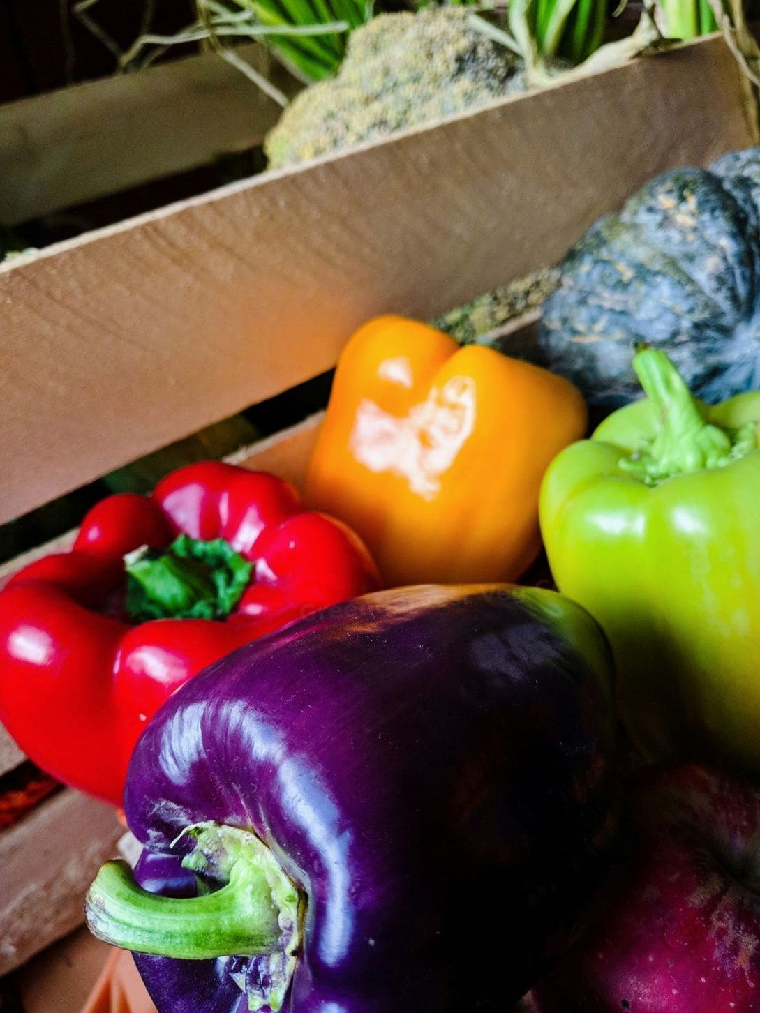 GreenHarvest Veg Co 4